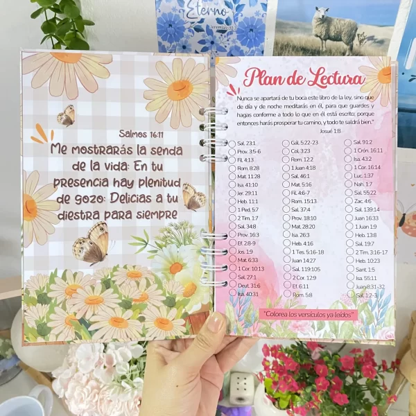 Devocional mi tiempo con Dios
